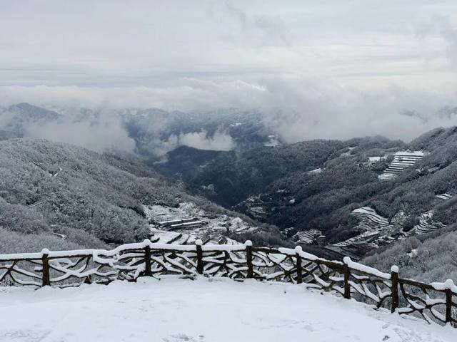 等来了！白河入冬第一场雪，竟藏着这样的景致