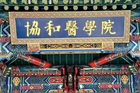 专家称“4+4”初衷是培养医学领袖：有严格考试，不是“特权”工具图片