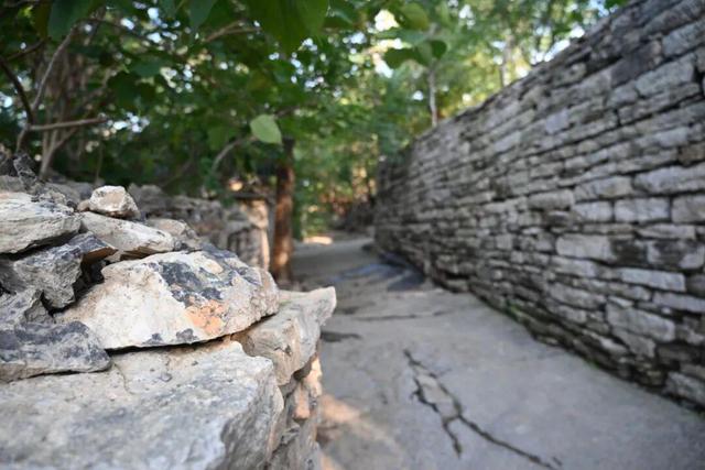 邵庄研学行：在齐风古韵里解锁沉浸式成长