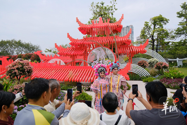 秋明拍花｜名副其实的“花城”：人在画中游，笑从花畔生
