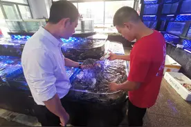 开海后首波海鲜上市，淄博市民到海鲜市场“抢鲜”采购图片