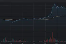 全天振幅超40%！“北证牛”股价坐电梯，高波动股大盘点，这些方向最突出图片