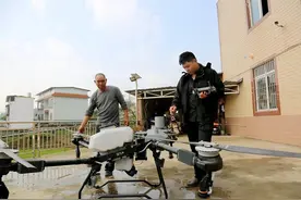“赚得不比外出打工少，还有满满成就感”图片
