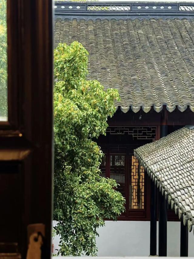 超美打卡攻略来啦！秋染道前街，追寻林则徐苏州印记