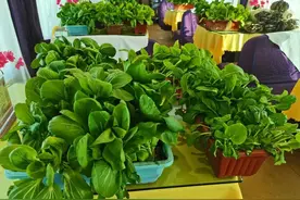 在火车餐车上吃现烤羊腿，是一种什么体验图片