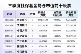 社保基金持仓路线曝光！平均年化投资收益达7.66%，4只个股持仓超百亿图片