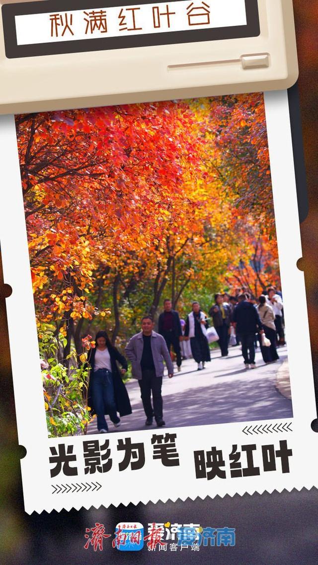 海报合集│济南红叶谷剪映深秋最美时光