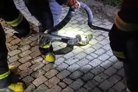 眼镜王蛇“私闯”民宅，“捕蛇达人”出手拿下图片