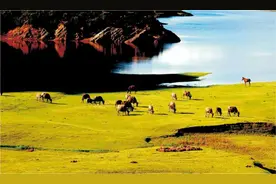 云南楚雄州发出旅居康养邀约 共赴四季浪漫之约图片