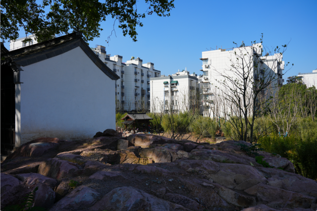 南京今年将新增一个免费公园