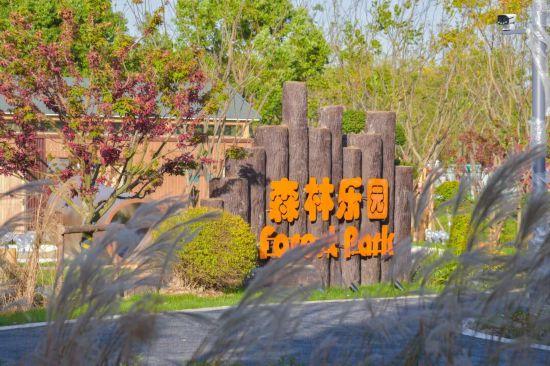 上海新开放的这3座环上公园，是你的遛娃新去处