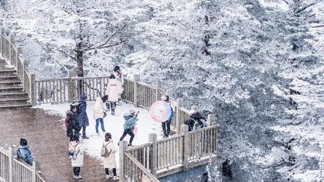 高光时刻！大邑两地获国家级荣誉