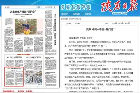 【陕西日报】岚皋：冲刺一季度“开门红”图片