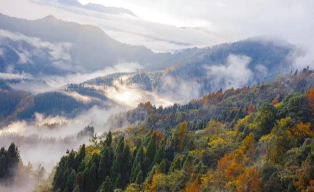 秋假必冲！瓦屋山免门票赏秋，徒步挑战拿奖牌！