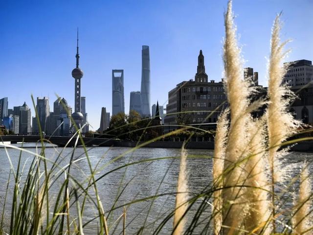 沿途处处是风景！北外滩这条线路您打卡了吗？新媒体粉丝线下活动现场照片来袭