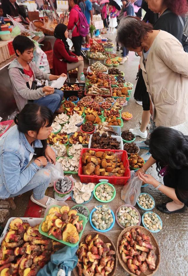 春节假期，这几个地方早开始火了！