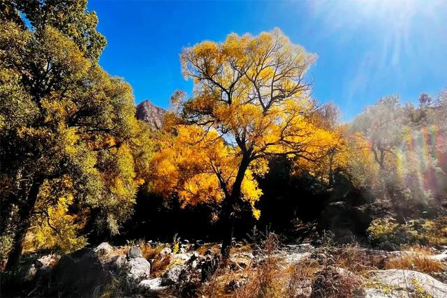 学习强国 | 河北蔚县：山色斑斓别样美
