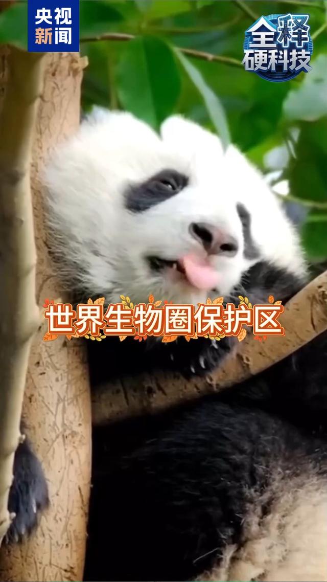 全释硬科技丨旅游宝藏地！带你解锁中国34个世界生物圈保护区