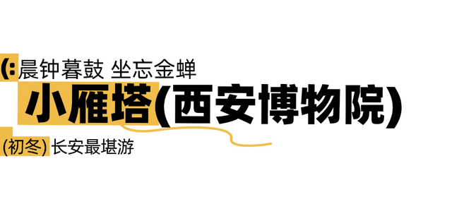 美绝！西安初冬的含金量还在上升！