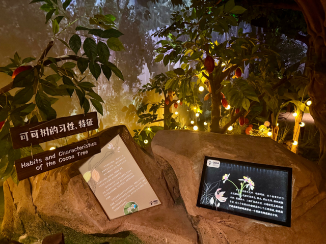 冬日沪上打卡新地标！百诺巧克力博物馆解锁甜蜜文化体验