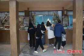 冷飕飕！看南宁动物如何花式过冬图片