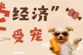 “毛孩子”也能去商场？宠物友好型社会来袭！图片