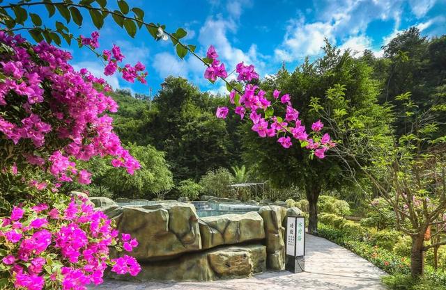 110警察节 | 龙门水都邀全国人民警察免门票入园收获一份暖冬！