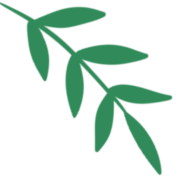 被萌到走不动道！常州邀你开启治愈之旅​