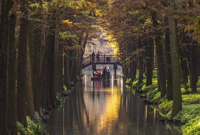 农文旅融合，看“苏中水乡”兴化如何“花开四季”