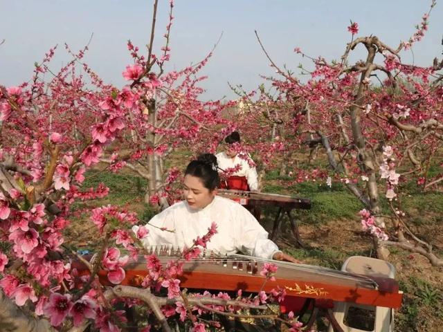 文旅“镇”精彩 ｜ 千年文脉润小留，乐活新章绽牡丹