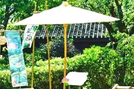 正值盛花期！夏日荷塘，等你来见~图片