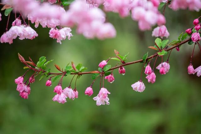 四时天工 扬州如画