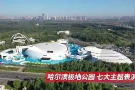 民企长镜头｜哈尔滨极地公园缘何频频“出圈”图片