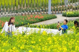 妇女节，广西这些景区免费或半价！图片