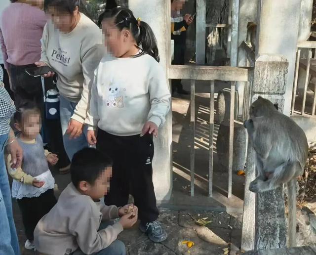 垃圾遍地、道路崩塌、小孩被抓……柳州这座“网红”废弃猴山，打卡该停了！