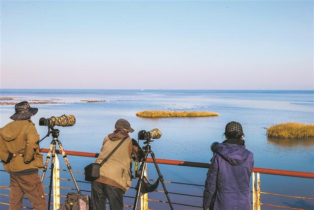 山海相依 点绿成金——秦皇岛市北戴河区持续推动生态优势多方转化