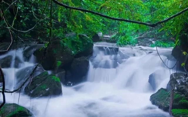 这个周末，来赣州一起“森”呼吸！