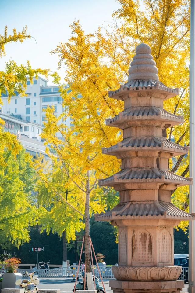 限时绝美！此刻，常州颜值巅峰