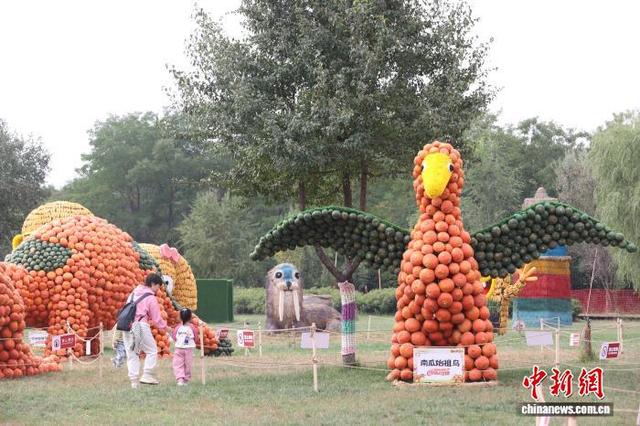 宁夏银川：“南瓜侏罗纪”迎“双节” 打造田园艺术盛宴