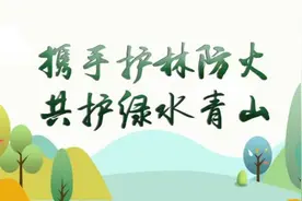 十载坚持种好一颗蓝莓图片