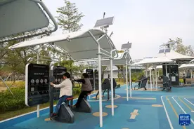 公园还可以这样玩儿——探索深圳公园里的人工智能图片