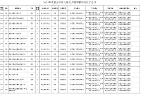 泰山区招中小学、幼儿园教师共160人！简章、岗位汇总表→图片
