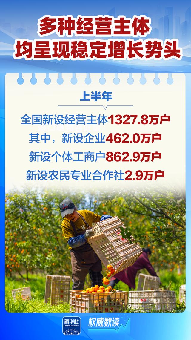 上半年多种经营主体稳定增长