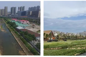 湖南省湘江流域和洞庭湖山水林田湖草生态保护修复工程试点——圭塘河流域生态修复工程图片