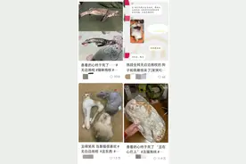 突然火爆，订单暴增10倍！到底是谁在买这丑玩意儿图片