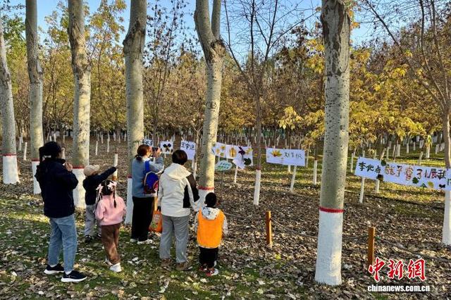 宁夏银川凤凰公园迎赏秋高峰 周末超6万市民醉享"五彩秋韵"