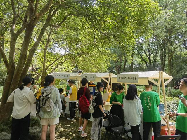 全国首创，杭州西湖飞来峰推出沉浸式疗愈游线