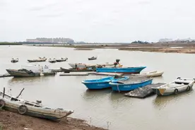 95艘渔船回港避风！洛江全力以赴织起防汛防台风“安全网”图片