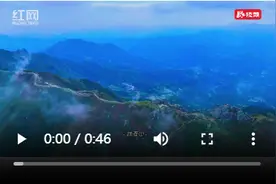 桂阳扶苍山：杜鹃盛开 云海景观美不胜收图片