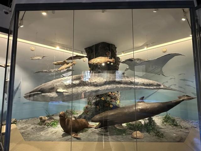 中国第一座公共博物馆120周年！系列重磅活动开启！